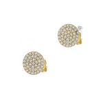 Σκουλαρίκια Με Ζιργκόν